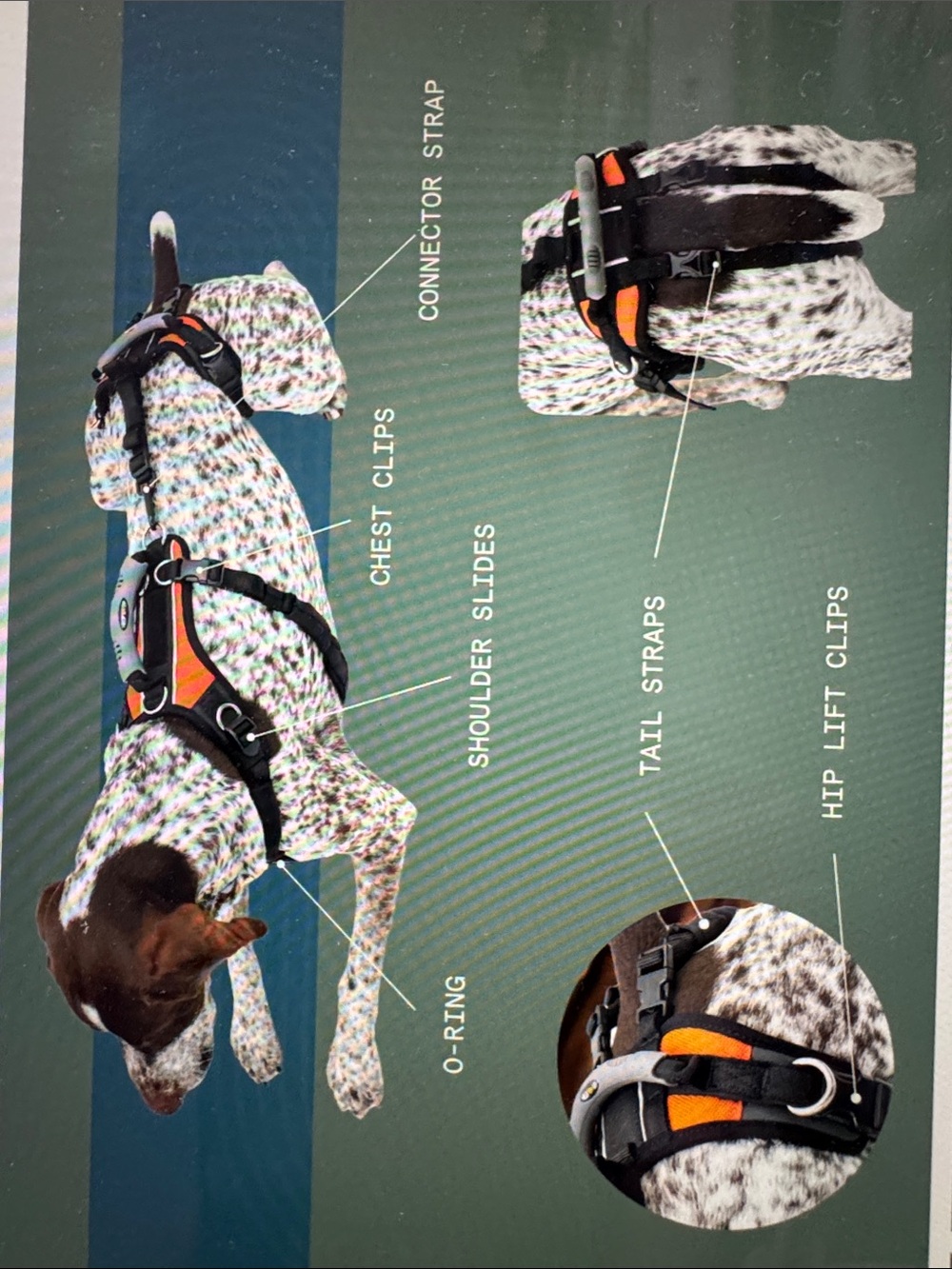 Help’em Up dog harness - Medium - Picture 4 of 4